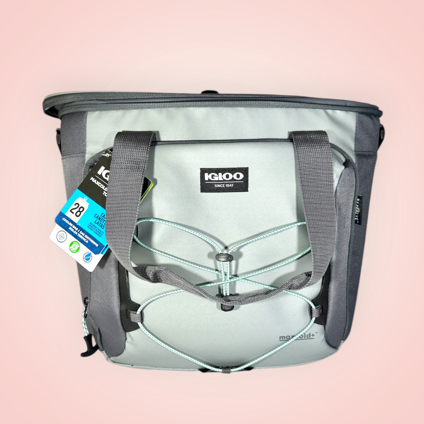 Igloo Hielera Tote